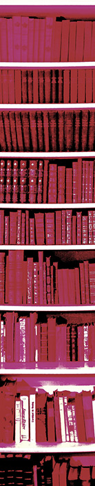 Lé unique papier peint Trompe l'oeil BIBLIOTHEQUE Fushia